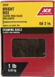 Ace 6D 2 in. Framing Bright Steel Nail Flat Head 1 lb Fashion