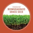 Pennington Bermuda Grass Full Sun Grass Seed 15 lb Online Hot Sale