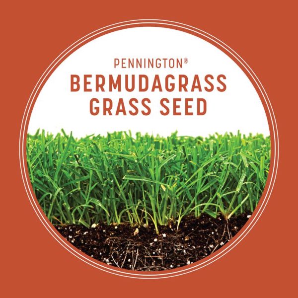 Pennington Bermuda Grass Full Sun Grass Seed 15 lb Online Hot Sale