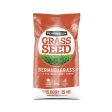 Pennington Bermuda Grass Full Sun Grass Seed 15 lb Online Hot Sale