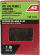 Ace 10D 3 in. Common Hot-Dipped Galvanized Steel Nail Flat Head 1 lb Fashion