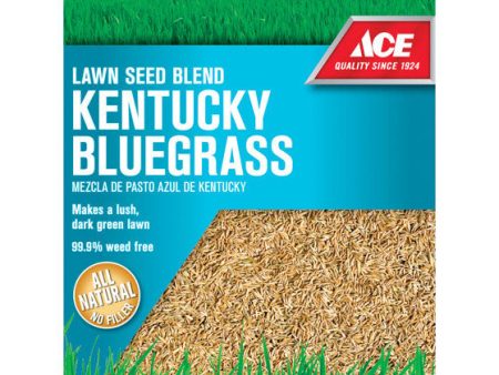 Ace Kentucky Bluegrass Full Sun Grass Seed 3 lb Online now