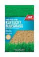 Ace Kentucky Bluegrass Full Sun Grass Seed 3 lb Online now