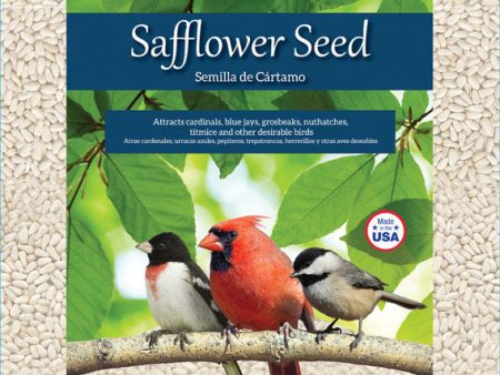 Ace Songbird Safflower Seeds Wild Bird Food 5 lb Hot on Sale