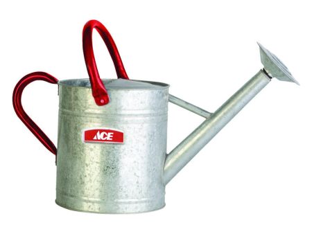 Ace Gray 2 gal Steel Watering Can For Discount