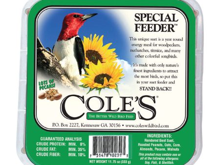 Cole s Special Feeder Assorted Species Beef Suet Wild Bird Food 11 oz For Cheap