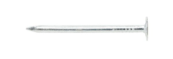 Ace 2 in. Roofing Electro-Galvanized Steel Nail Large Head 5 lb Online now