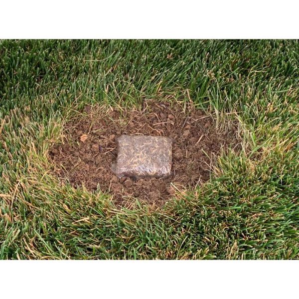 Ace Rapid Repair Pod All Grasses Full Sun Fertilizer Mulch Seed 15 pk Online Sale