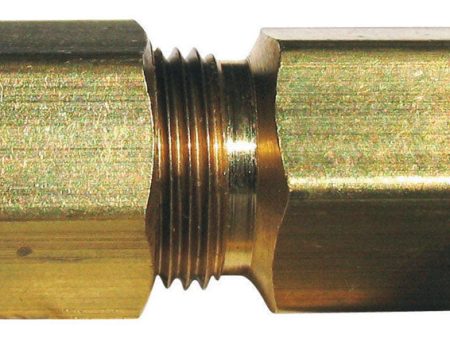 Ace 1 4 in. Compression X 1 4 in. D Compression Brass Compression Connector Online Sale