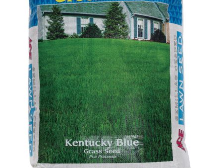 Ace Green Turf Kentucky Bluegrass Sun or Shade Grass Seed 25 lb For Sale