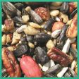 Cole s Special Feeder Assorted Species Black Oil Sunflower Wild Bird Food 5 lb Online Hot Sale