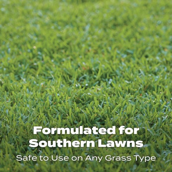 Scotts Turf Builder All-Purpose Southern Lawn Food For All Grasses 5000 sq ft Hot on Sale